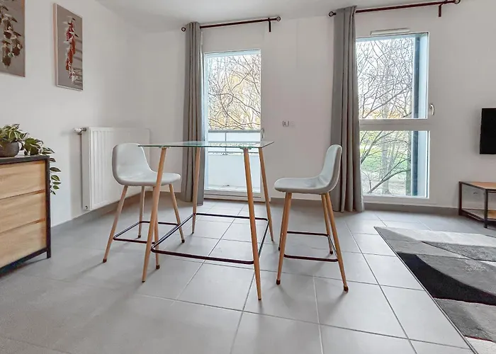 דירה Lumineux Avec Balcon גרנובל